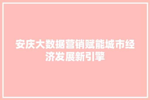 安庆大数据营销赋能城市经济发展新引擎