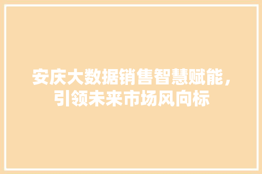 安庆大数据销售智慧赋能，引领未来市场风向标