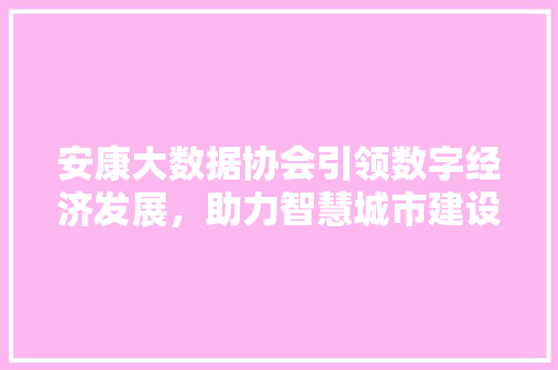 安康大数据协会引领数字经济发展，助力智慧城市建设