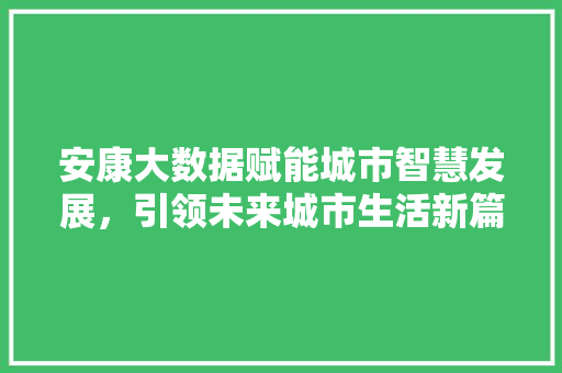 安康大数据赋能城市智慧发展，引领未来城市生活新篇章