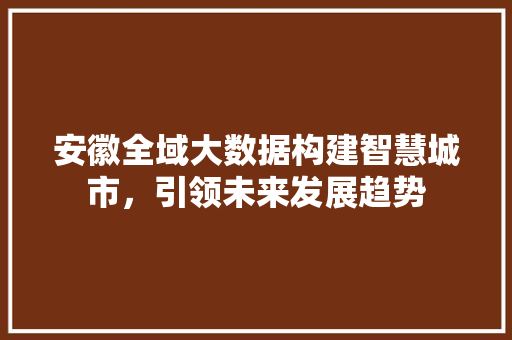 安徽全域大数据构建智慧城市，引领未来发展趋势