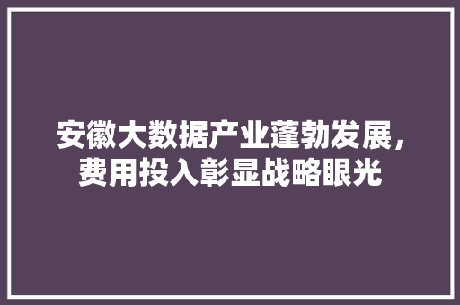 安徽大数据产业蓬勃发展，费用投入彰显战略眼光