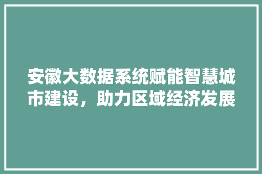 安徽大数据系统赋能智慧城市建设，助力区域经济发展
