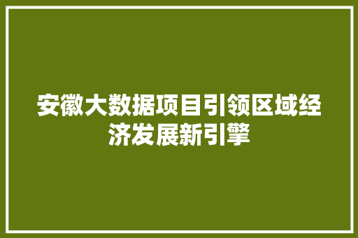 安徽大数据项目引领区域经济发展新引擎