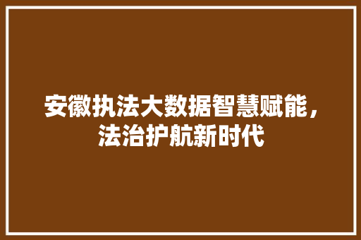 安徽执法大数据智慧赋能，法治护航新时代