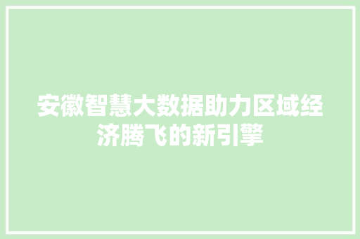 安徽智慧大数据助力区域经济腾飞的新引擎