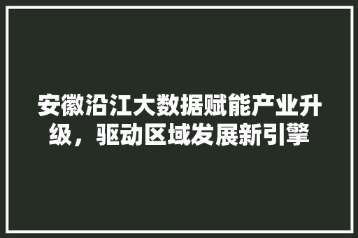 安徽沿江大数据赋能产业升级，驱动区域发展新引擎