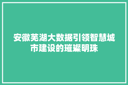 安徽芜湖大数据引领智慧城市建设的璀璨明珠