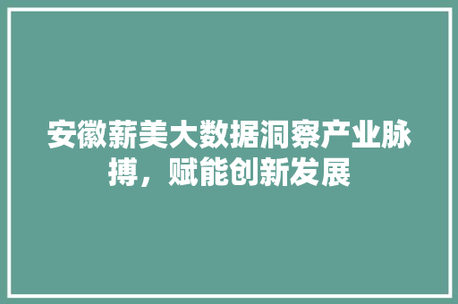 安徽薪美大数据洞察产业脉搏，赋能创新发展