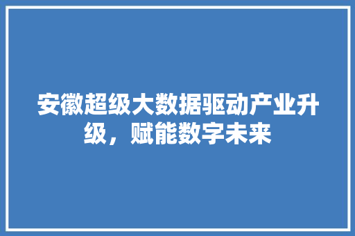 安徽超级大数据驱动产业升级，赋能数字未来