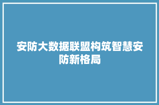 安防大数据联盟构筑智慧安防新格局