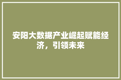 安阳大数据产业崛起赋能经济，引领未来