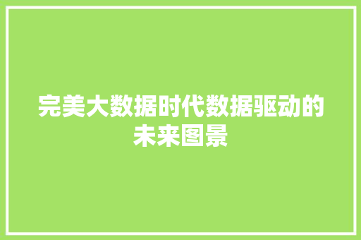 完美大数据时代数据驱动的未来图景
