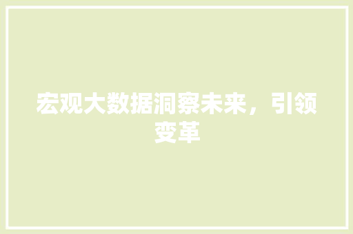 宏观大数据洞察未来，引领变革