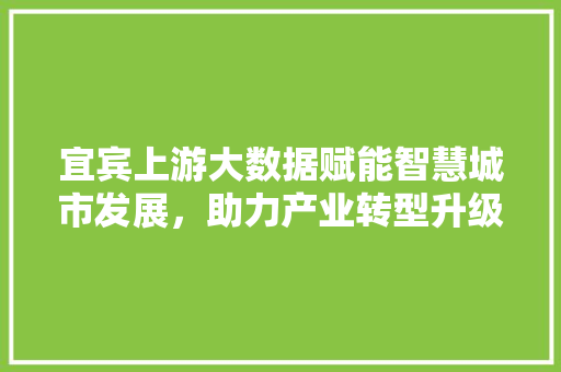 宜宾上游大数据赋能智慧城市发展，助力产业转型升级