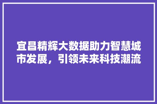 宜昌精辉大数据助力智慧城市发展，引领未来科技潮流