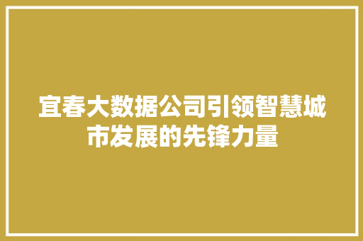 宜春大数据公司引领智慧城市发展的先锋力量