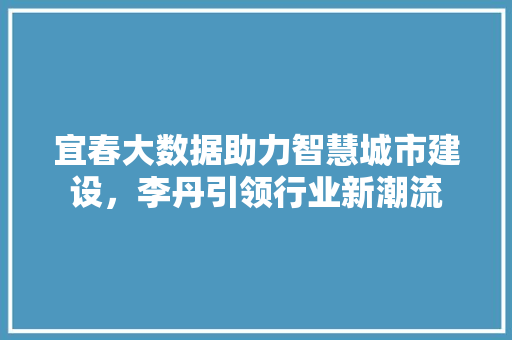 宜春大数据助力智慧城市建设，李丹引领行业新潮流