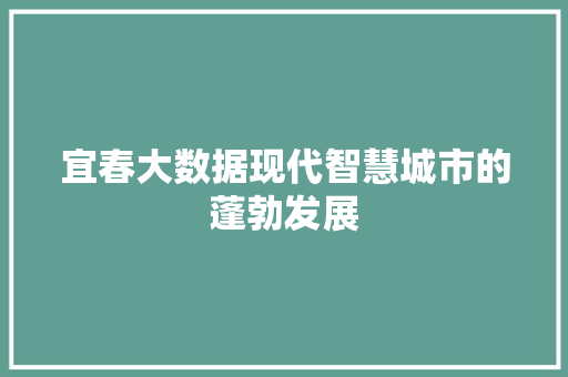宜春大数据现代智慧城市的蓬勃发展
