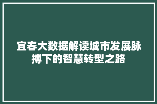宜春大数据解读城市发展脉搏下的智慧转型之路