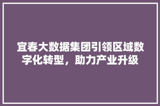 宜春大数据集团引领区域数字化转型，助力产业升级