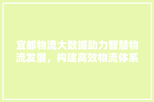 宜都物流大数据助力智慧物流发展，构建高效物流体系