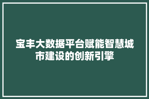 宝丰大数据平台赋能智慧城市建设的创新引擎