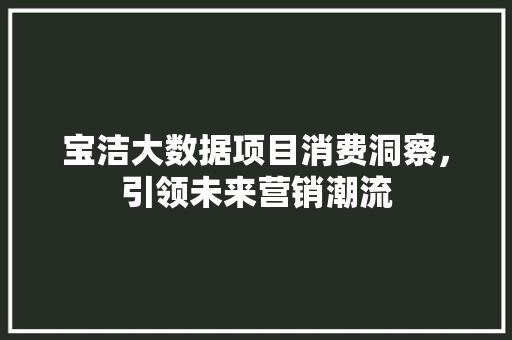 宝洁大数据项目消费洞察，引领未来营销潮流