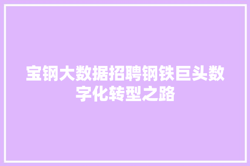 宝钢大数据招聘钢铁巨头数字化转型之路