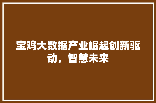 宝鸡大数据产业崛起创新驱动，智慧未来