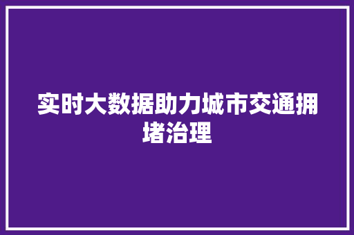 实时大数据助力城市交通拥堵治理 WordPress教程