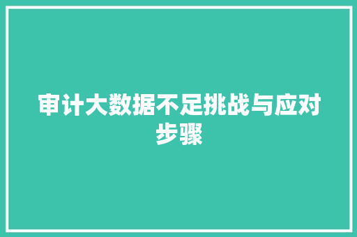 审计大数据不足挑战与应对步骤