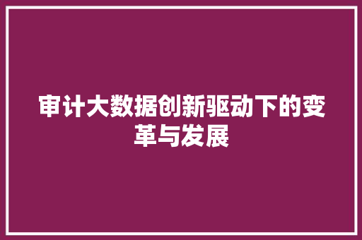 审计大数据创新驱动下的变革与发展