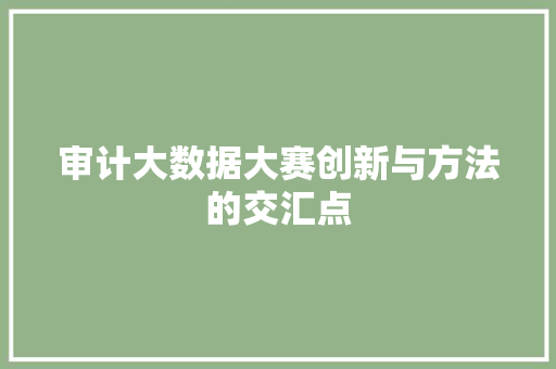 审计大数据大赛创新与方法的交汇点