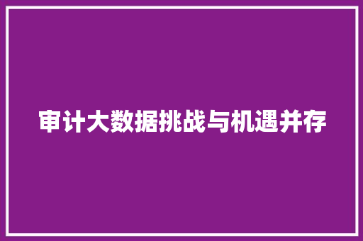 审计大数据挑战与机遇并存
