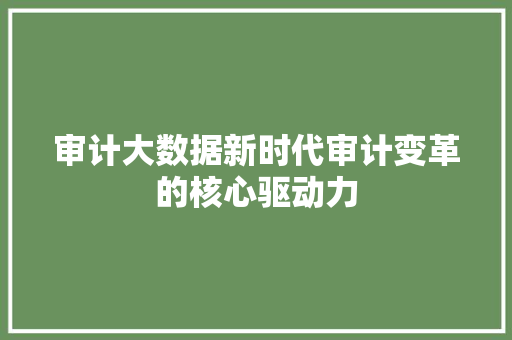 审计大数据新时代审计变革的核心驱动力