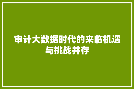 审计大数据时代的来临机遇与挑战并存
