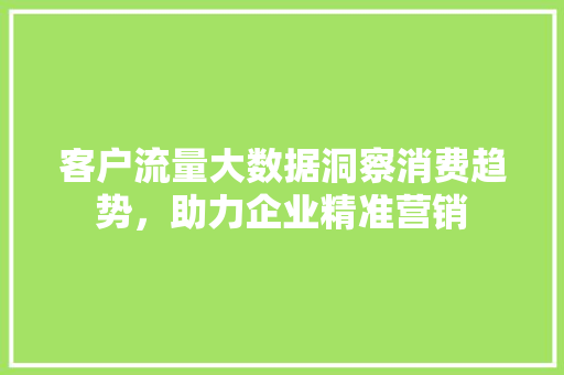 客户流量大数据洞察消费趋势，助力企业精准营销