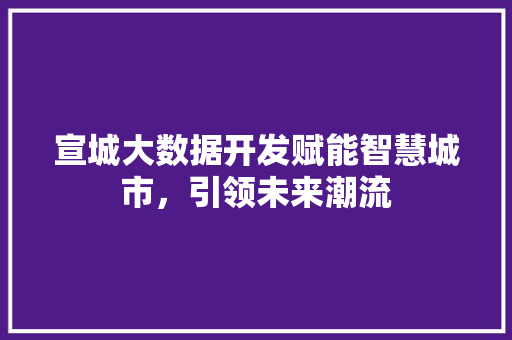 宣城大数据开发赋能智慧城市，引领未来潮流