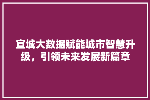 宣城大数据赋能城市智慧升级，引领未来发展新篇章