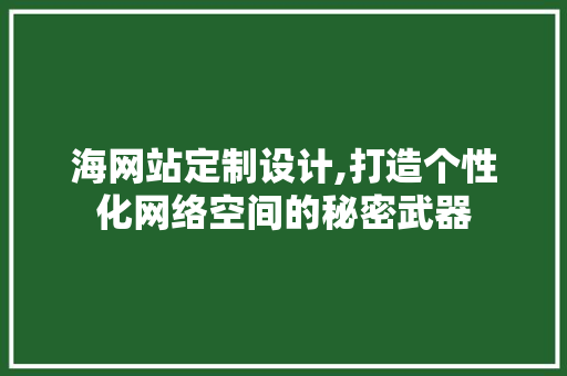海网站定制设计,打造个性化网络空间的秘密武器