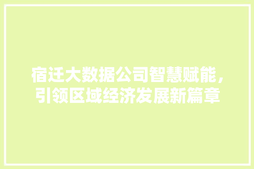宿迁大数据公司智慧赋能，引领区域经济发展新篇章