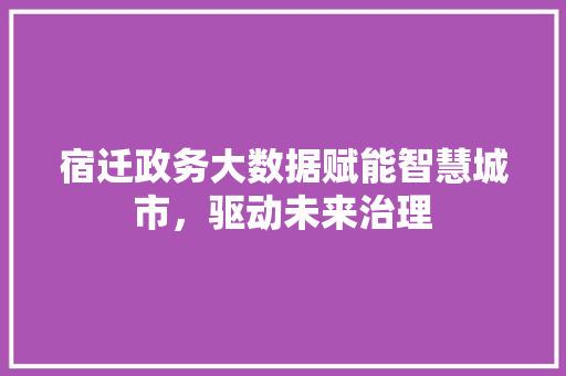 宿迁政务大数据赋能智慧城市，驱动未来治理