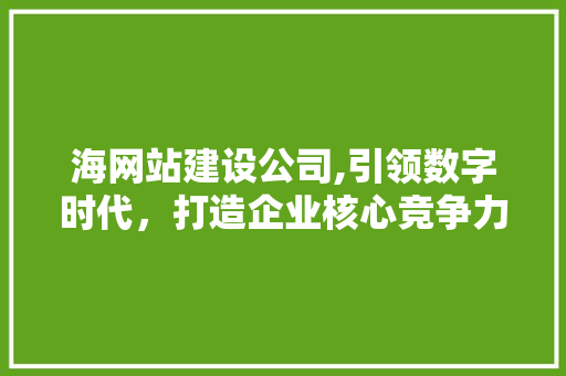 海网站建设公司,引领数字时代，打造企业核心竞争力 海网站建设公司,引领数字时代，打造企业核心竞争力 服务器/数据库