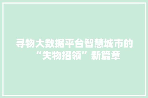 寻物大数据平台智慧城市的“失物招领”新篇章