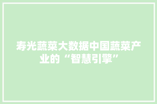 寿光蔬菜大数据中国蔬菜产业的“智慧引擎”