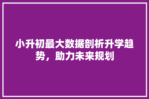 小升初最大数据剖析升学趋势，助力未来规划
