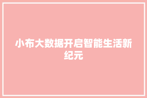 小布大数据开启智能生活新纪元
