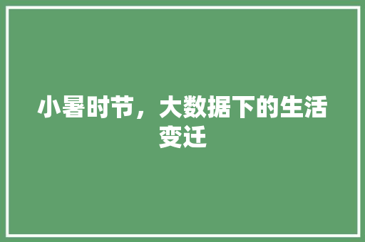小暑时节，大数据下的生活变迁