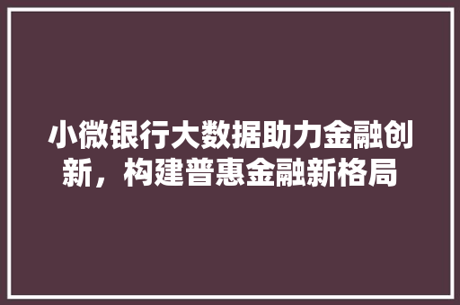 小微银行大数据助力金融创新，构建普惠金融新格局